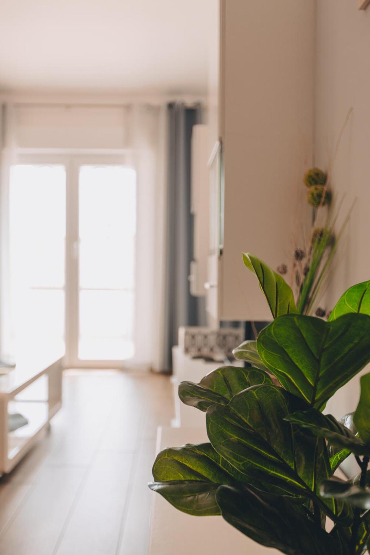 Neda Apartment